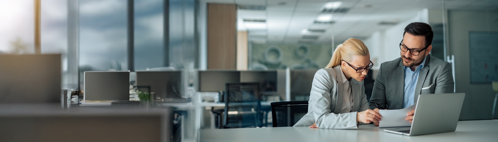 Borrowing power calculator