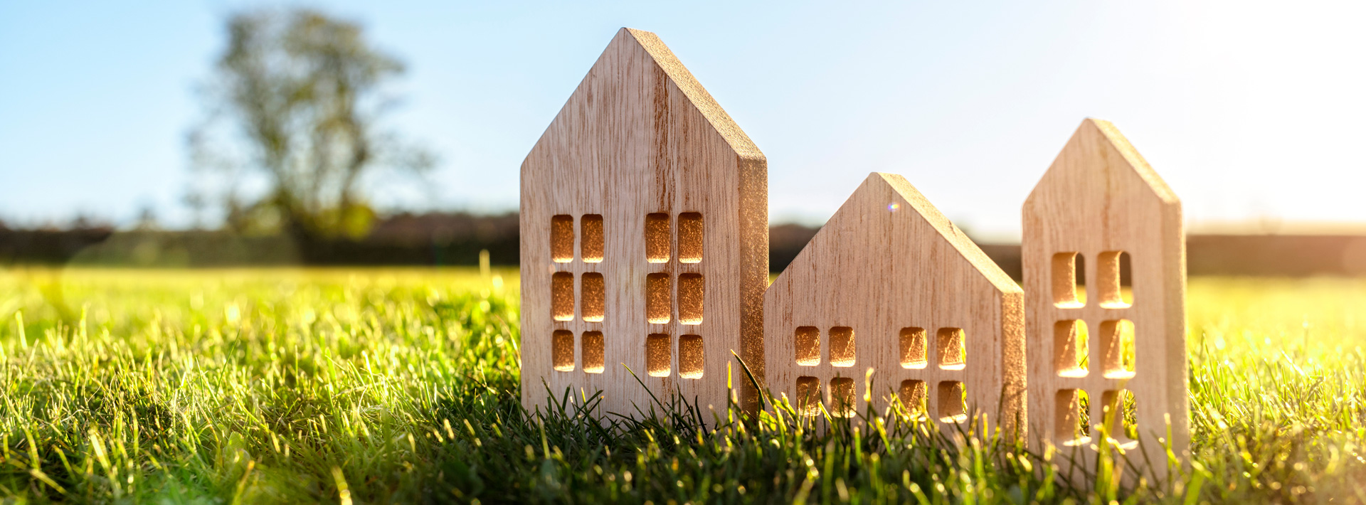 Investment Property